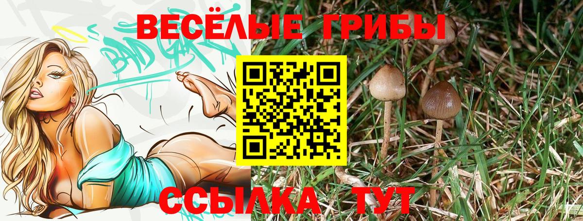 Галлюциногенные грибы мицелий Сухой Лог